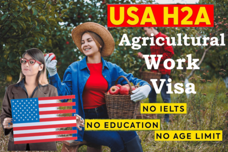 Best Agricultural Jobs in the USA for Foreign Workers